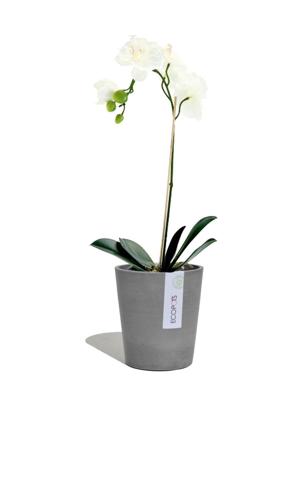 | 16 Kunststoff ECOPOTS | aus | Orchideentopf Blumentopf 14 grau x Morinda cm